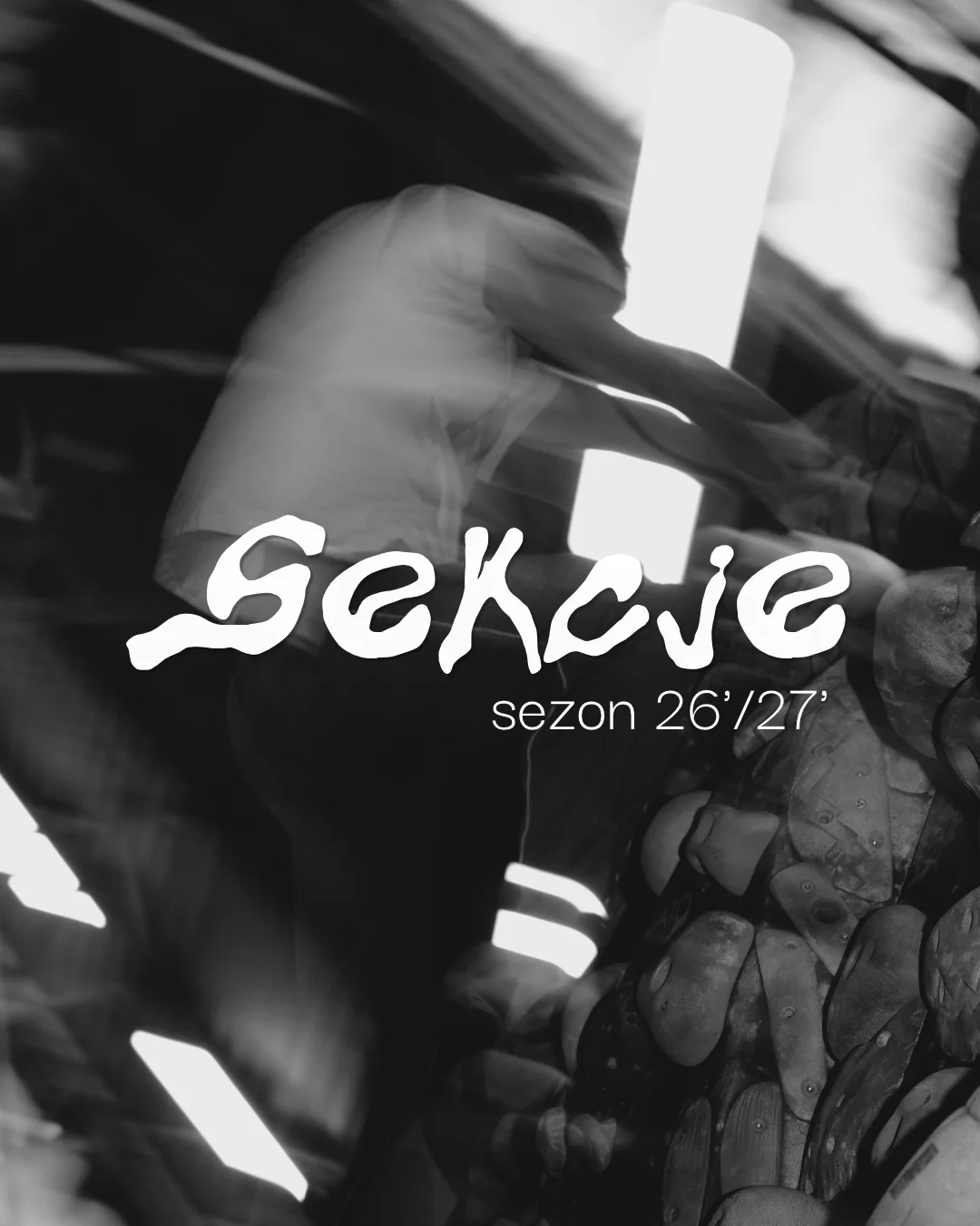sekcje